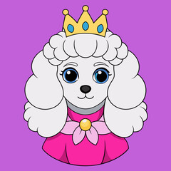 White MINIATURE POODLE dog