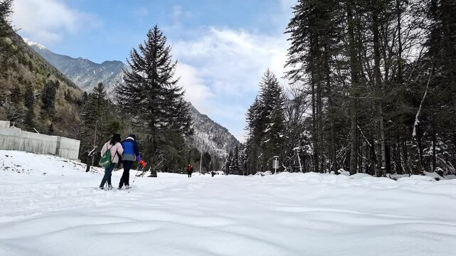 Xueshan Forest, Lixian County, Aba Prefecture, Sichuan Province