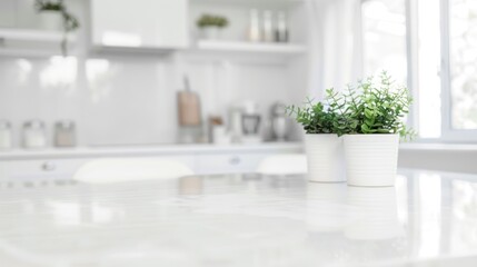 Two potted plants on a white table in a modern kitchen