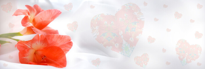 Dreamy white background with colorful red gladiolus flowers and hearts, celebration composition. Template banner. Wedding, Birthday, Mothers Day, Valentines Day. Copy Space, place for text