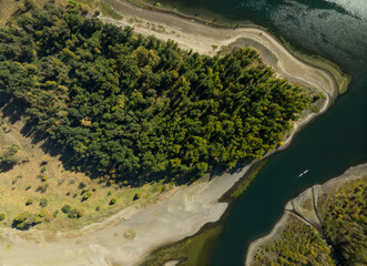 A river with a forest on the bank