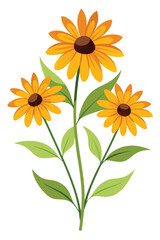 Rudbeckia Branch with Beautiful Yellow Flowers on White Background Vector Art