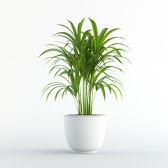 Lush Green Plant in Elegant White Pot