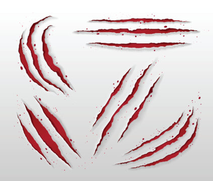 Animal claw scratch mark with red surface and splashes. Realistic 3d vector illustration set of different tiger or bear paw attack trail. Scary monster nail crack paper or laceration slash trace.