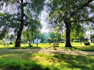park in the park