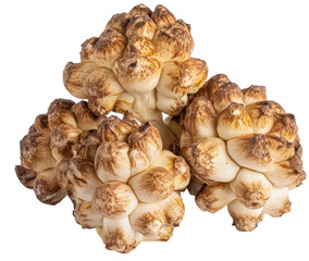 Fototapeta premium Fresh sunchokes with light brown skin isolated on transparent background