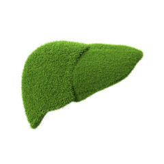 Human liver shape made from grass. 3d-rendering