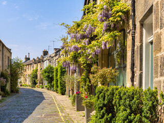 Edinburgh, Circus Lane. Said to be the most charming street in the city. © Colin & Linda McKie
