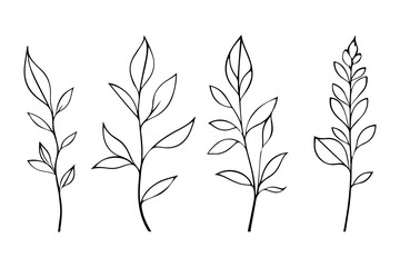 Abstract Line Drawing Set Of Plants Black Sketch of Flowers Isolated on White Background. Leaves Branch Linear Illustration. Minimalist Prints Set. Vector EPS 10.