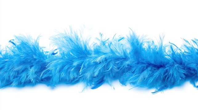 blue feather boa isolated on white background