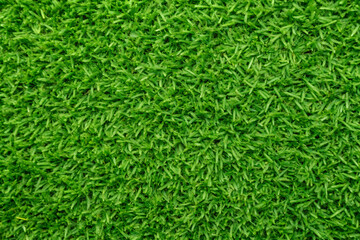 Green grass texture background. Generative AI.