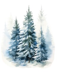 Winter watercolor illustration with fir trees on white background