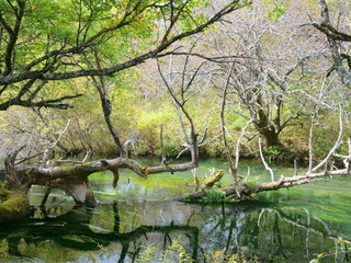 奥日光初秋の湯川