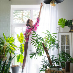 Woman hangs transparent tulle curtains on large windows in the house inside the interior. Spring...