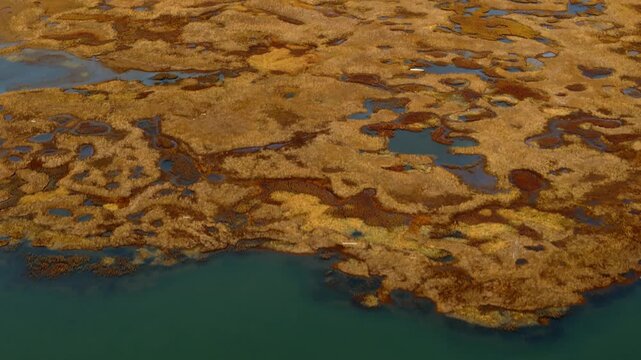 Flat Tundra Reveals Dome-shaped Hill At Pingo National Landmark Near Tuktoyaktuk, Northwest Territories, Canada. Aerial Tilt-up Shot