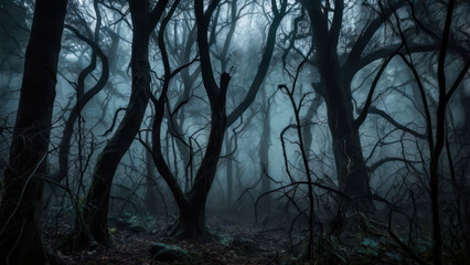 Obraz premium trees in the fog