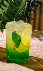 Refreshing green cocktail standing on table with tropical plants in background