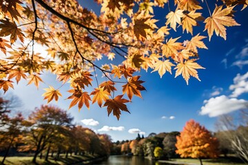 Naklejka premium Orange fall leaves in park, autumn natural background