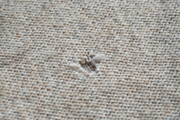 hole in a brown pastel jumper, hole in a tan woollen jumper,	knitted sweater beige texture