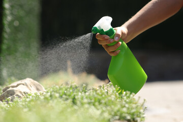 Woman hand spraying insecticide over plants in a garden