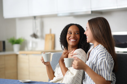 Happy interracial lesbian couple drinking and looking with love