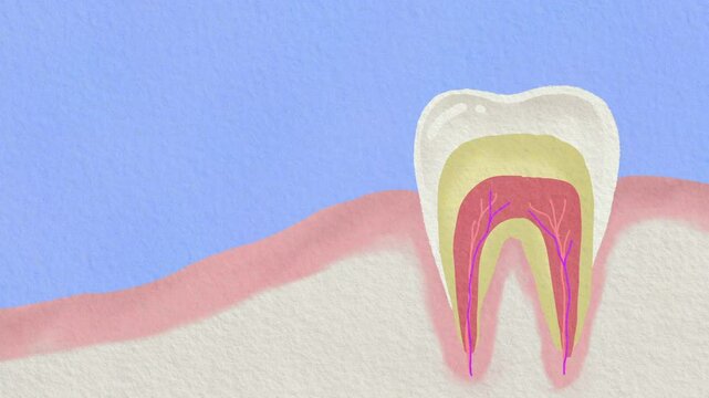 Watercolor Cartoon Animation for Kids Learning About Teeth Structure and Gum Care in Fun and Educational Style