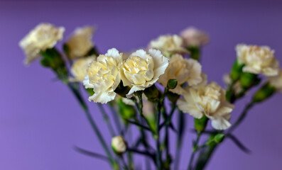 a bouquet of beautiful autumn flowers