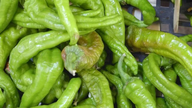 Green friarielli peppers displayed at a market stall, representing fresh produce from a fruit and vegetable market in Italy.