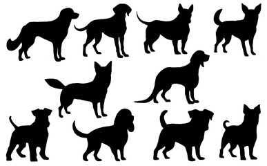 透過された犬のシルエット