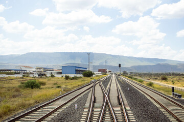 Fototapeta premium A view of railway tracks passing through the countryside