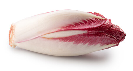 Red endive or italian chicory on white background. File contains clipping path.