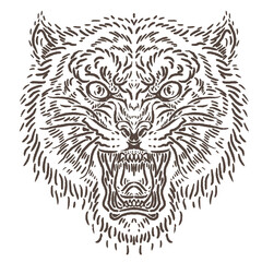 vector illustration of scary angry tiger face