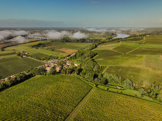 Naklejka premium Aerial view, Bordeaux vineyard, landscape vineyard south west of france, Langoiran, High quality photo