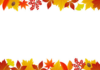 秋の紅葉をイメージした上下のフレームのイラスト_横向き
