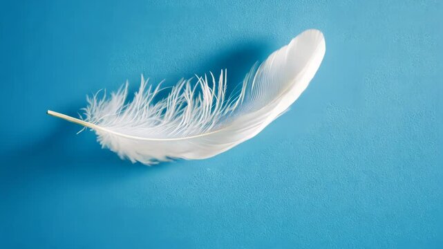 A depiction of a single white feather gracefully falling against a blue background, highlighting the softness of floating feathers