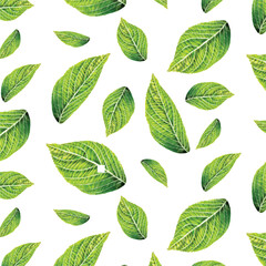  Green leaves pattern, Eco, Seamless decorative template texture with green leaves, vector illustration