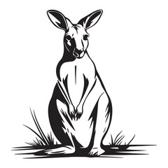 Kangaroo Silhouette and Illustrations, Kangaroo in cartoon, doodle style, Kangaroo Vector Line art Illustration