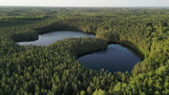 Aerial orbits picturesque blue lake in vast green boreal forest