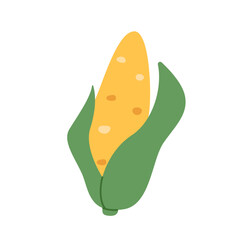 Hand drawn yellow corn. Open green corncob with golden corn, grain sweetcorn