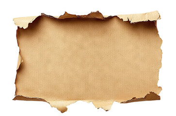 Fototapeta premium Torn piece of craft paper, isolated on transparent cutout background