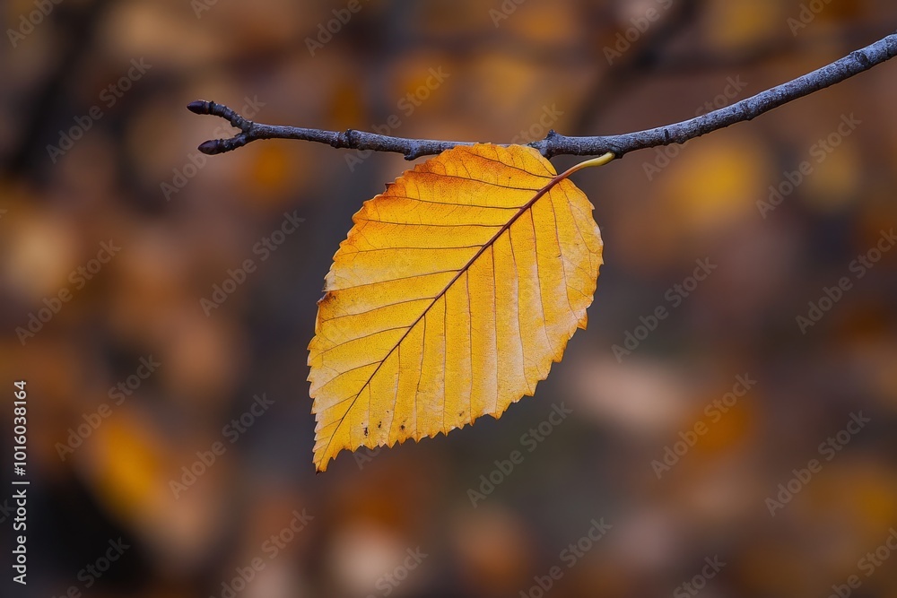 Poster a solitary orange leaf clings to a twig, set against a bokeh-inducing backdrop of soft autumn hues, 
