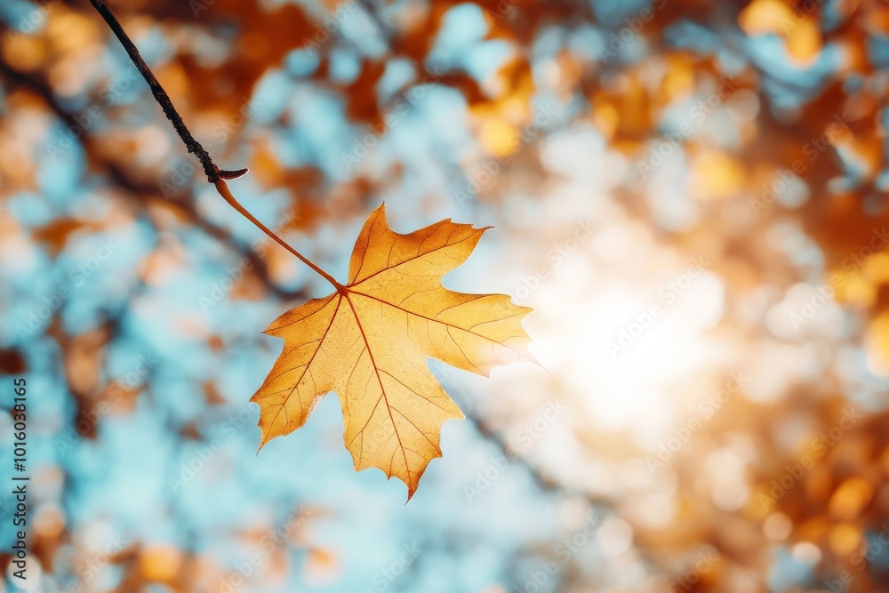 Poster A golden maple leaf is spotlighted as it hangs from a branch, with sunlit backgrounds creating glowing orbs, evoking warmth and nostalgia in autumn's embrace.