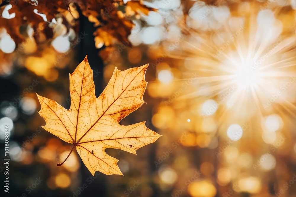 Poster a shining maple leaf stands against a backdrop of dazzling autumn colors illuminated by a sunburst, 
