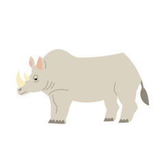 Cute rhinoceros, African savanna animal, big five. Vector isolated on white background