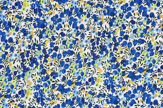 seamless pattern watercolor blueberries. Stylish print for textile design and decoration