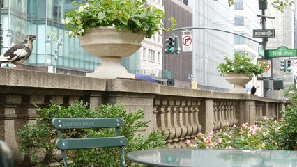 Fifth avenue, 5 ave road sign, Manhattan midtown architecture, New York City 5th av, 42 street...