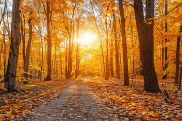 Obraz premium A tranquil forest path covered in red and orange autumn leaves, surrounded by tall trees with colorful foliage. Warm golden sunlight filters through the trees, creating a peaceful and inviting atmosph