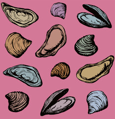 Big fresh perl Ostreidae mollusc on pink backdrop. Outline black ink hand drawn french diet delicacy dining icon sign design sketchy in retro art cartoon doodle engraved style pen on crimson paper