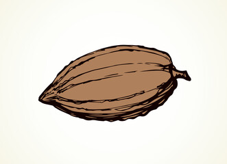 Big old dry theobroma set on white backdrop. Outline black ink hand drawn menu object logo pictogram emblem design sketchy in art antique doodle etched style pen on paper space for text. Closeup view