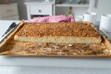 Homemade fresh a hazelnut sheet cake on a baking sheet with cross section view on kitchen counter